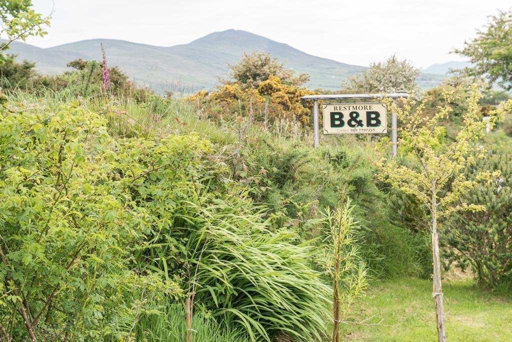 Restmore B&B Annascaul Exterior photo